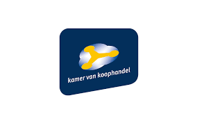 KvK Jaaroverzicht ondernemend Nederland 2016